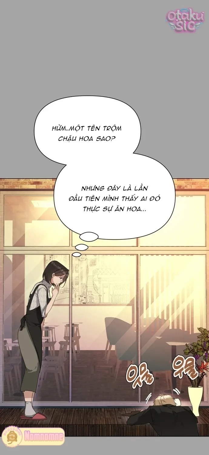 Chàng Romeo Của Chúng Ta Chapter 3 - 45