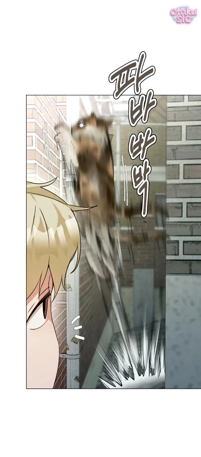 Chàng Romeo Của Chúng Ta Chapter 5 - 12