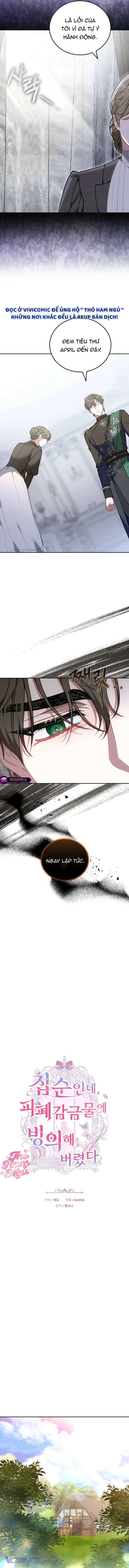 Mặc Dù Thích Ở Nhà Nhưng Tôi Lại Xuyên Vào Thể Loại Giam Cầm Đen Tối Chapter 15 - 3