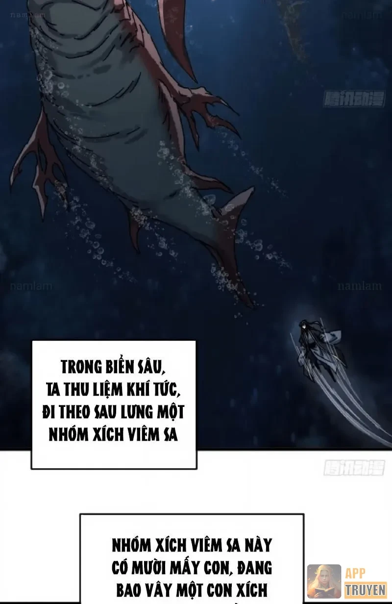 Ta Mô Phỏng Con Đường Trường Sinh Chapter 38 - 13