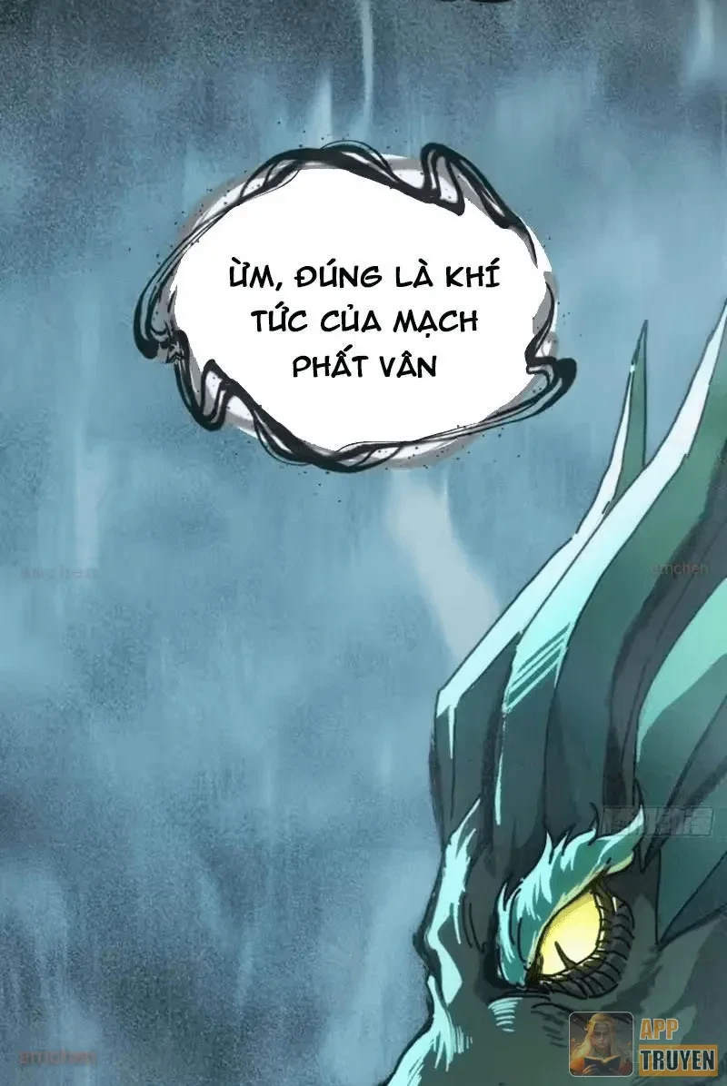 Ta Mô Phỏng Con Đường Trường Sinh Chapter 47 - 52