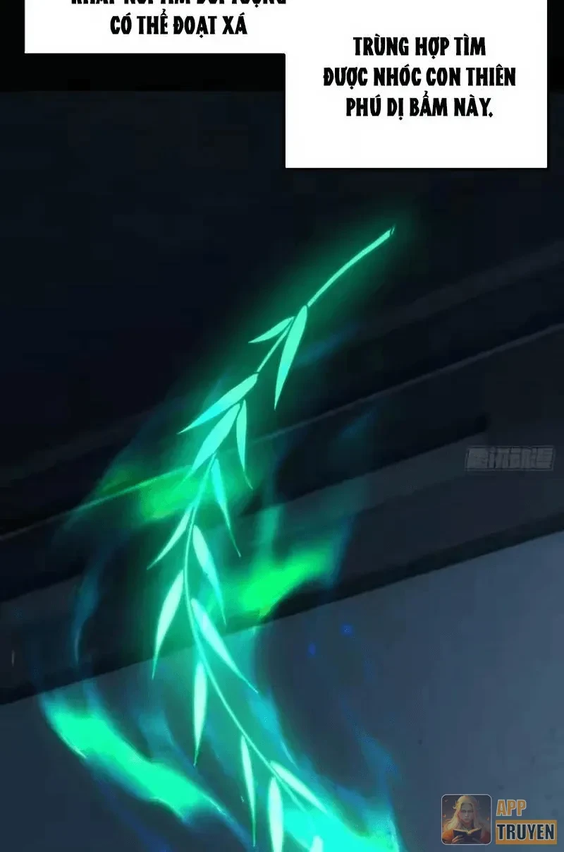 Ta Mô Phỏng Con Đường Trường Sinh Chapter 49 - 61