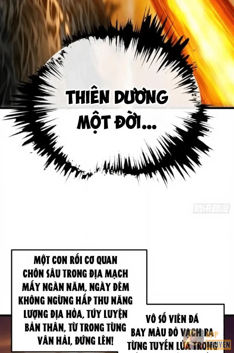 Ta Mô Phỏng Con Đường Trường Sinh Chapter 55 - 48