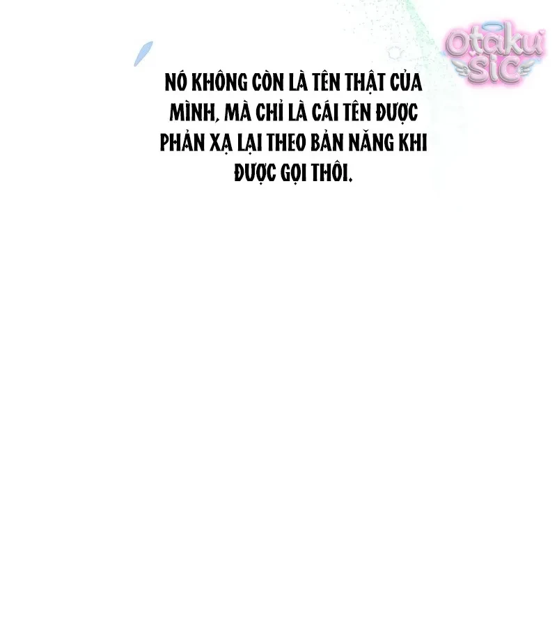 Hồi Phục Quá Mạnh - Nhà Vua Đã Ám Ảnh Tôi Chapter 4 - 33