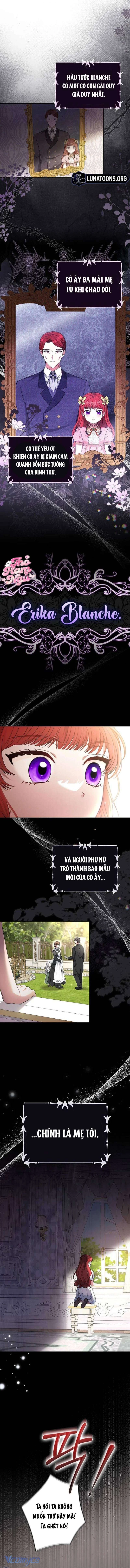 Nàng Dâu Giả Sẽ Bỏ Trốn Vào Một Ngày Nào Đó Chapter 1 - 3