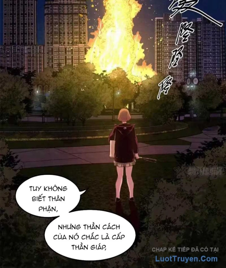 Sắc Lệnh Thú Thần Chapter 21 - 40