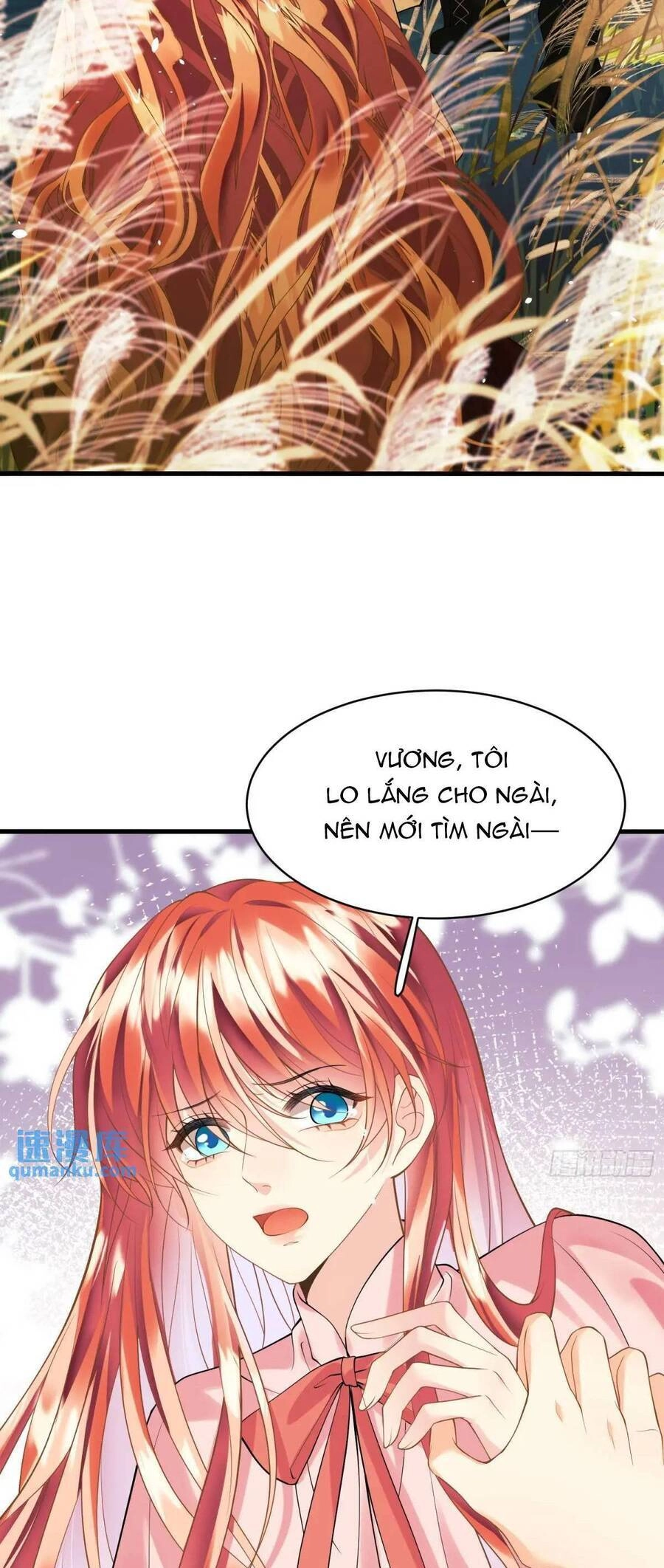 Trở Thành Đồ Chơi Nguy Hiểm Của Vương Tước Chapter 25 - 24