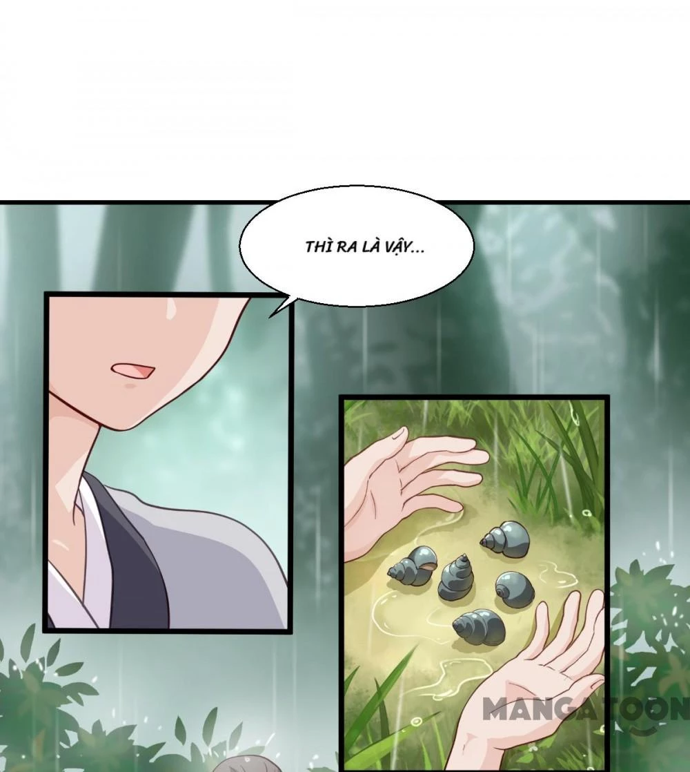 Tiền Tiêu Không Hết, Ta Phải Làm Sao? Chapter 12 - 28