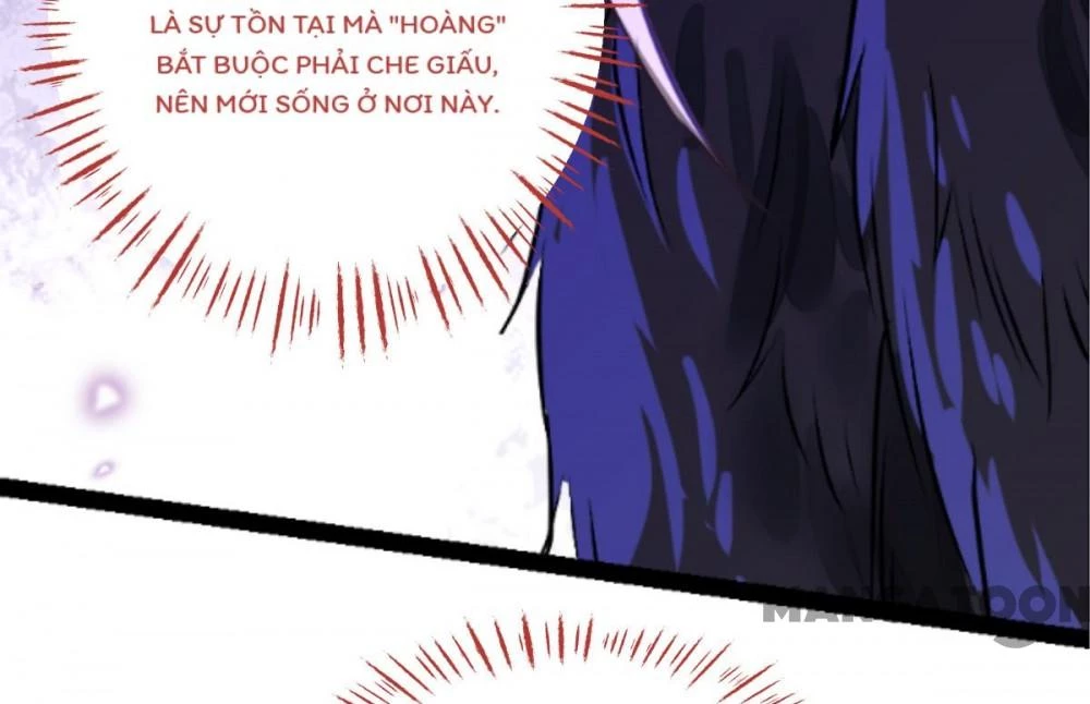 Tiền Tiêu Không Hết, Ta Phải Làm Sao? Chapter 63 - 97