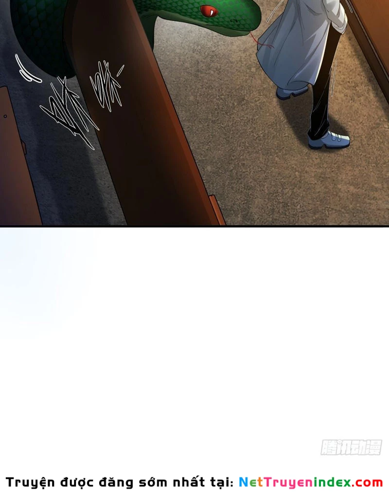 Xuyên Sách: Ta Phải Cứu Vớt Bảy Nữ Nhân Vật Phản Diện Chapter 2 - 50