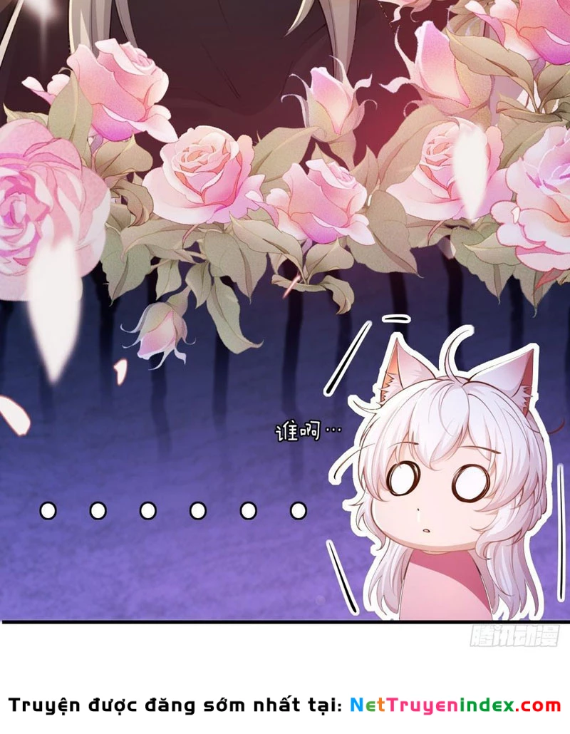 Xuyên Sách: Ta Phải Cứu Vớt Bảy Nữ Nhân Vật Phản Diện Chapter 4 - 15