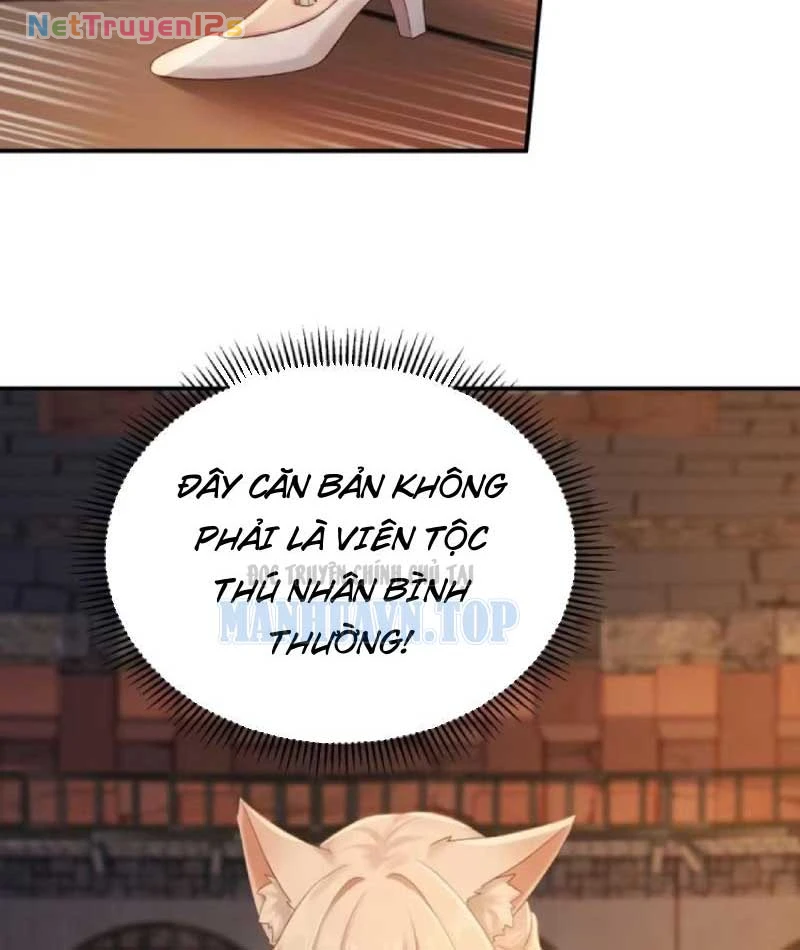 Xuyên Sách: Ta Phải Cứu Vớt Bảy Nữ Nhân Vật Phản Diện Chapter 67 - 7