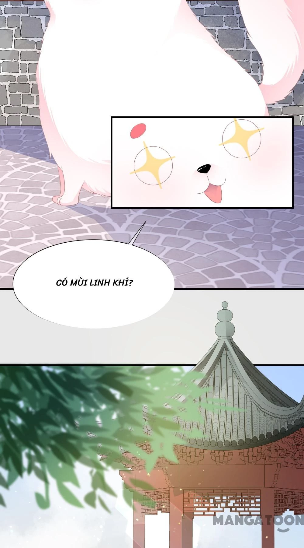 Hồ Phi Chớ Dây Vào Lửa Chapter 1 - 24