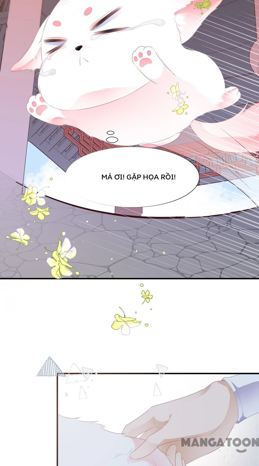 Hồ Phi Chớ Dây Vào Lửa Chapter 2 - 4