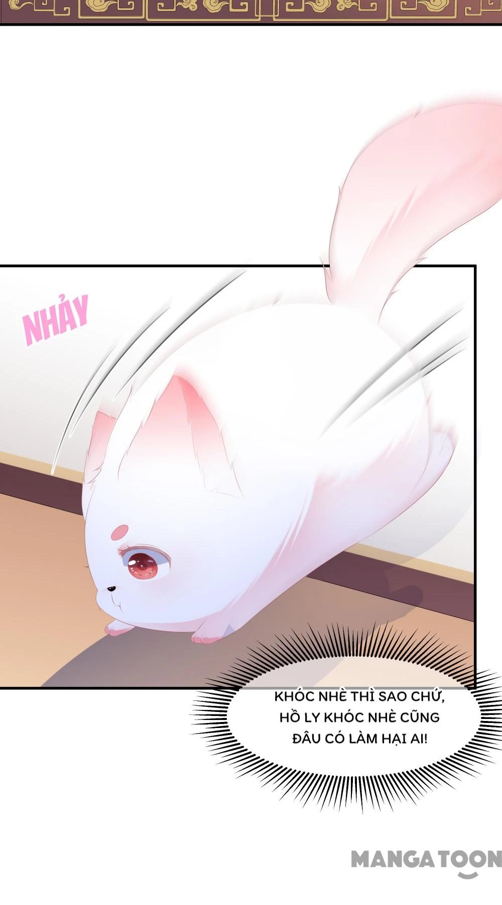 Hồ Phi Chớ Dây Vào Lửa Chapter 6 - 13