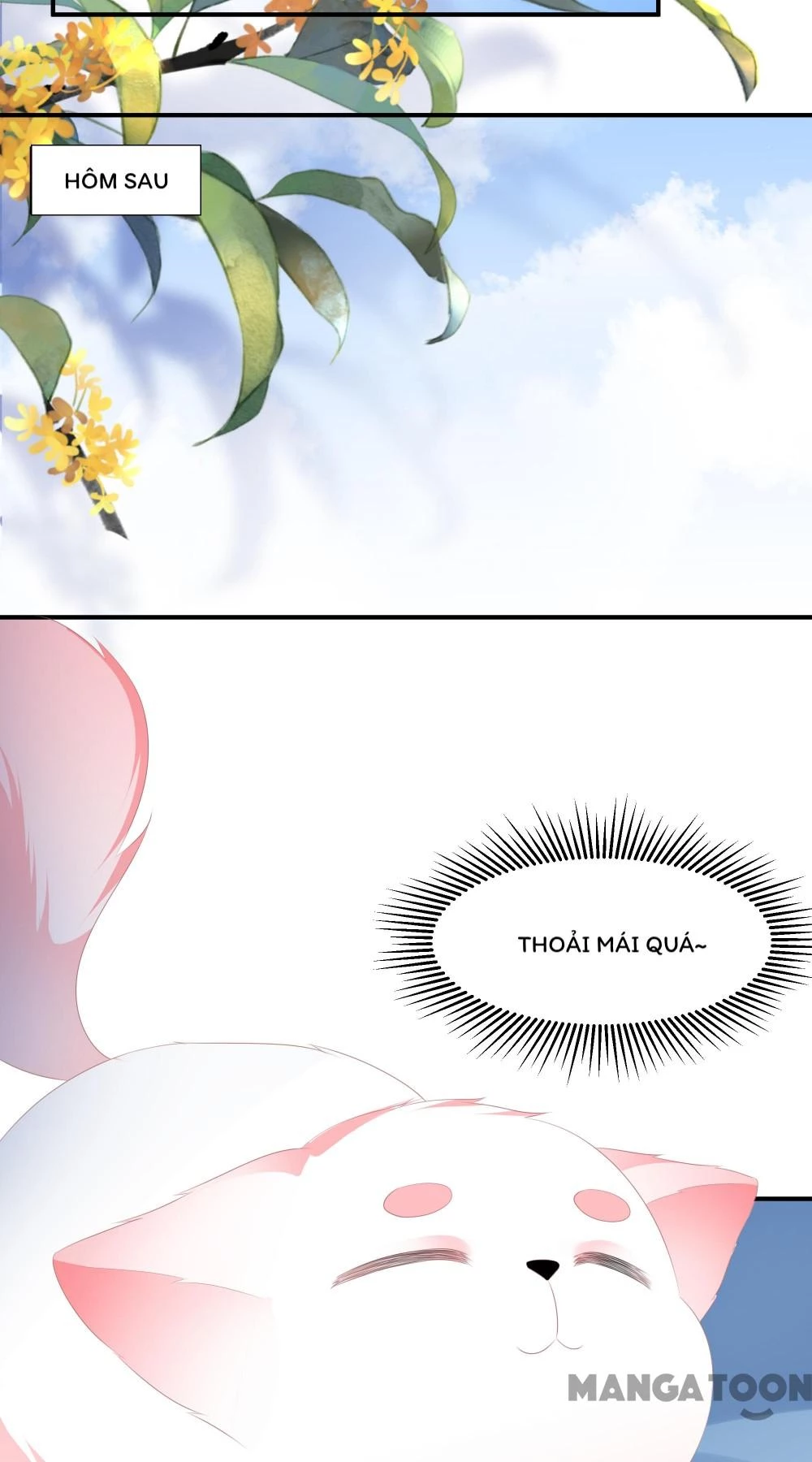 Hồ Phi Chớ Dây Vào Lửa Chapter 9 - 25