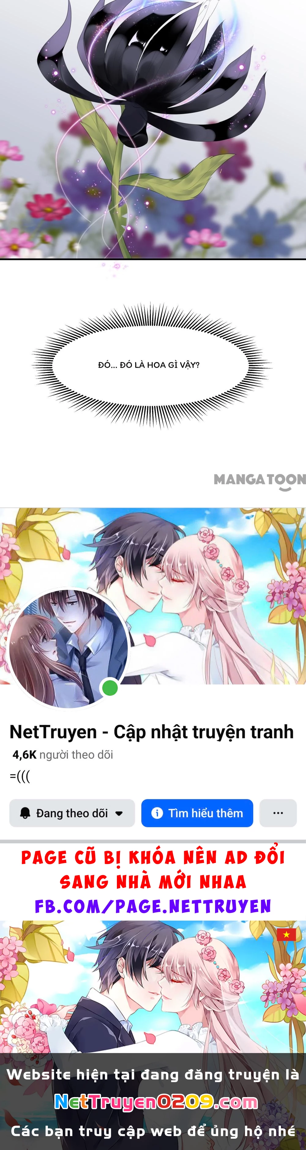 Hồ Phi Chớ Dây Vào Lửa Chapter 10 - 30