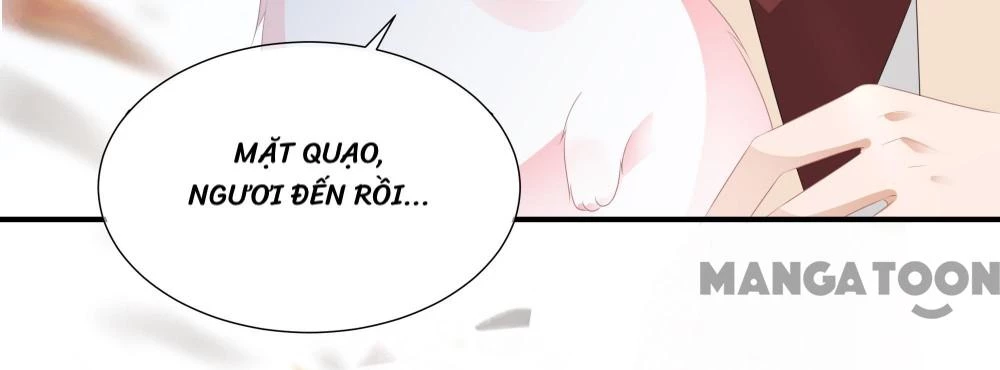 Hồ Phi Chớ Dây Vào Lửa Chapter  17 - 26