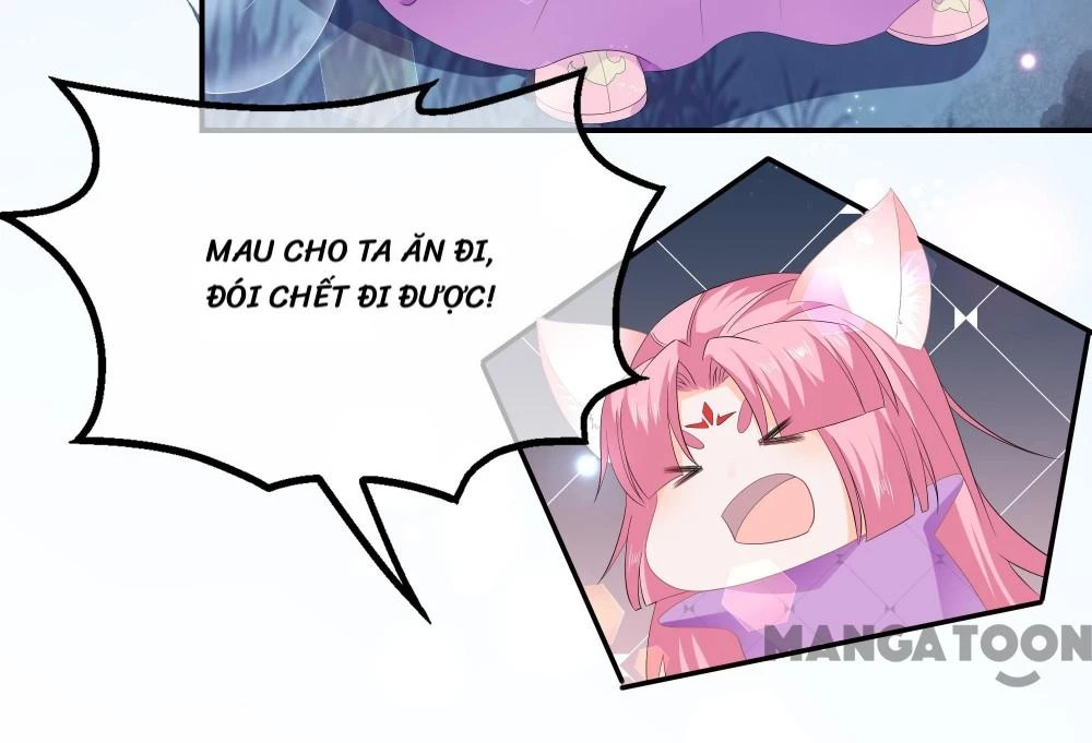 Hồ Phi Chớ Dây Vào Lửa Chapter  62 - 6