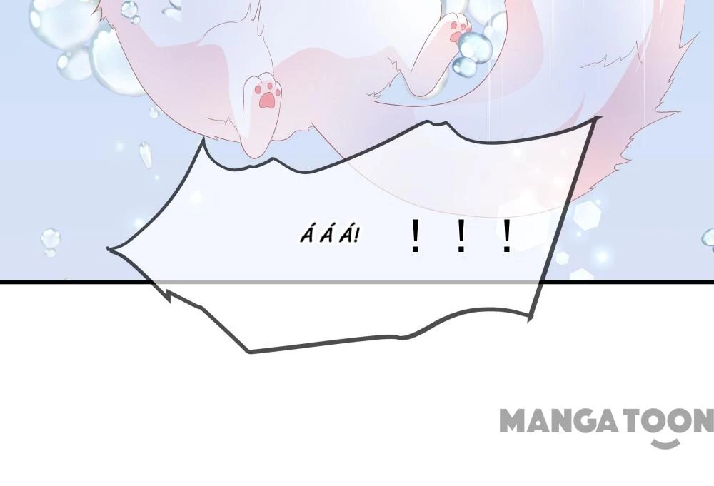 Hồ Phi Chớ Dây Vào Lửa Chapter  65 - 18