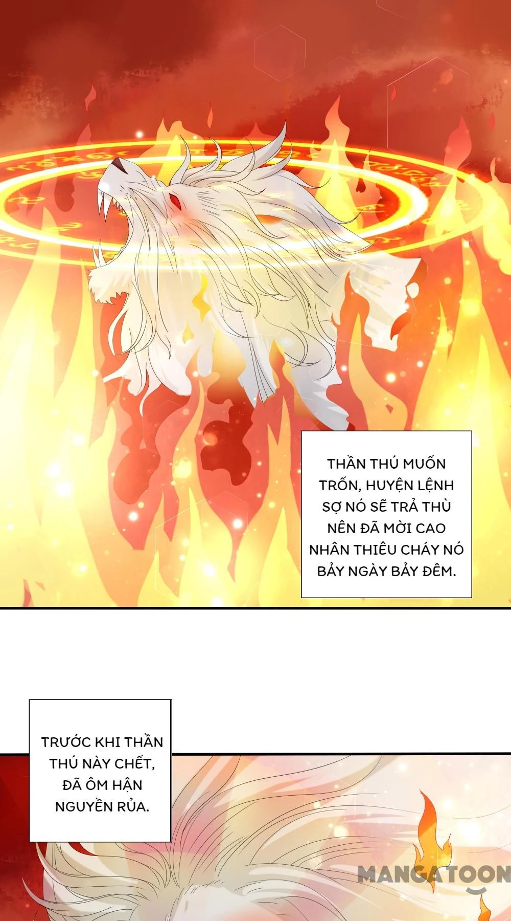 Hồ Phi Chớ Dây Vào Lửa Chapter 68 - 21