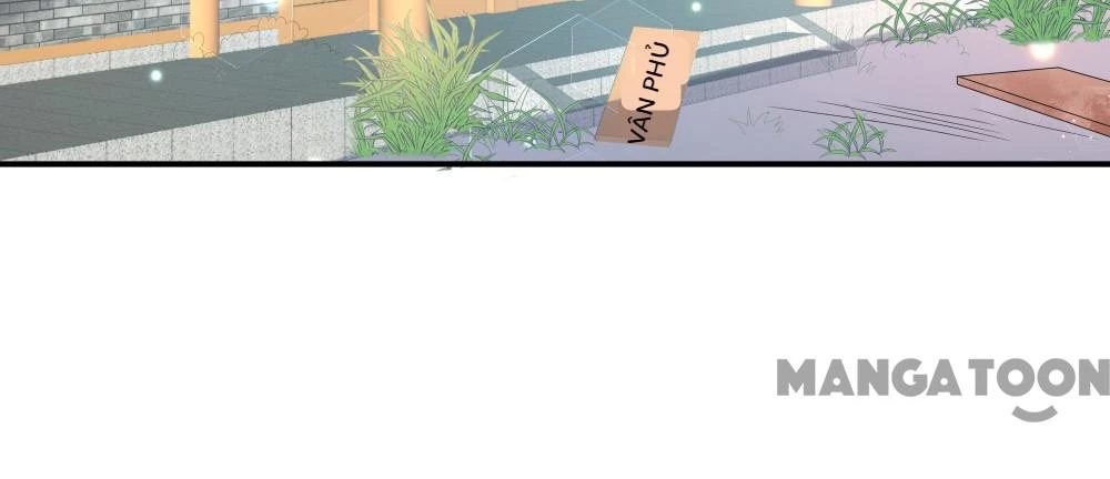 Hồ Phi Chớ Dây Vào Lửa Chapter 68 - 26