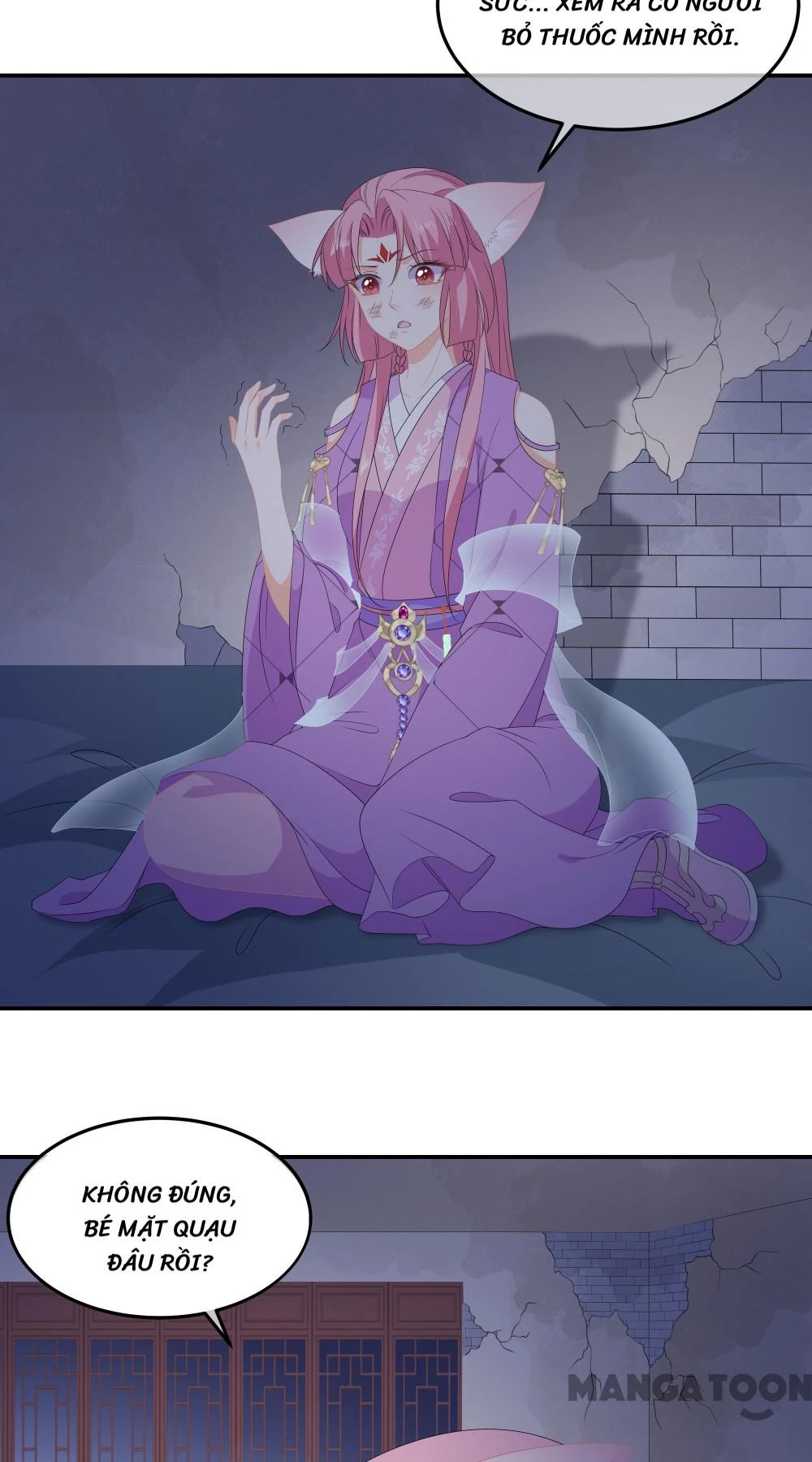 Hồ Phi Chớ Dây Vào Lửa Chapter  77 - 2