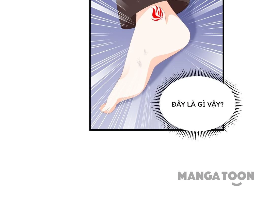 Hồ Phi Chớ Dây Vào Lửa Chapter  89 - 8