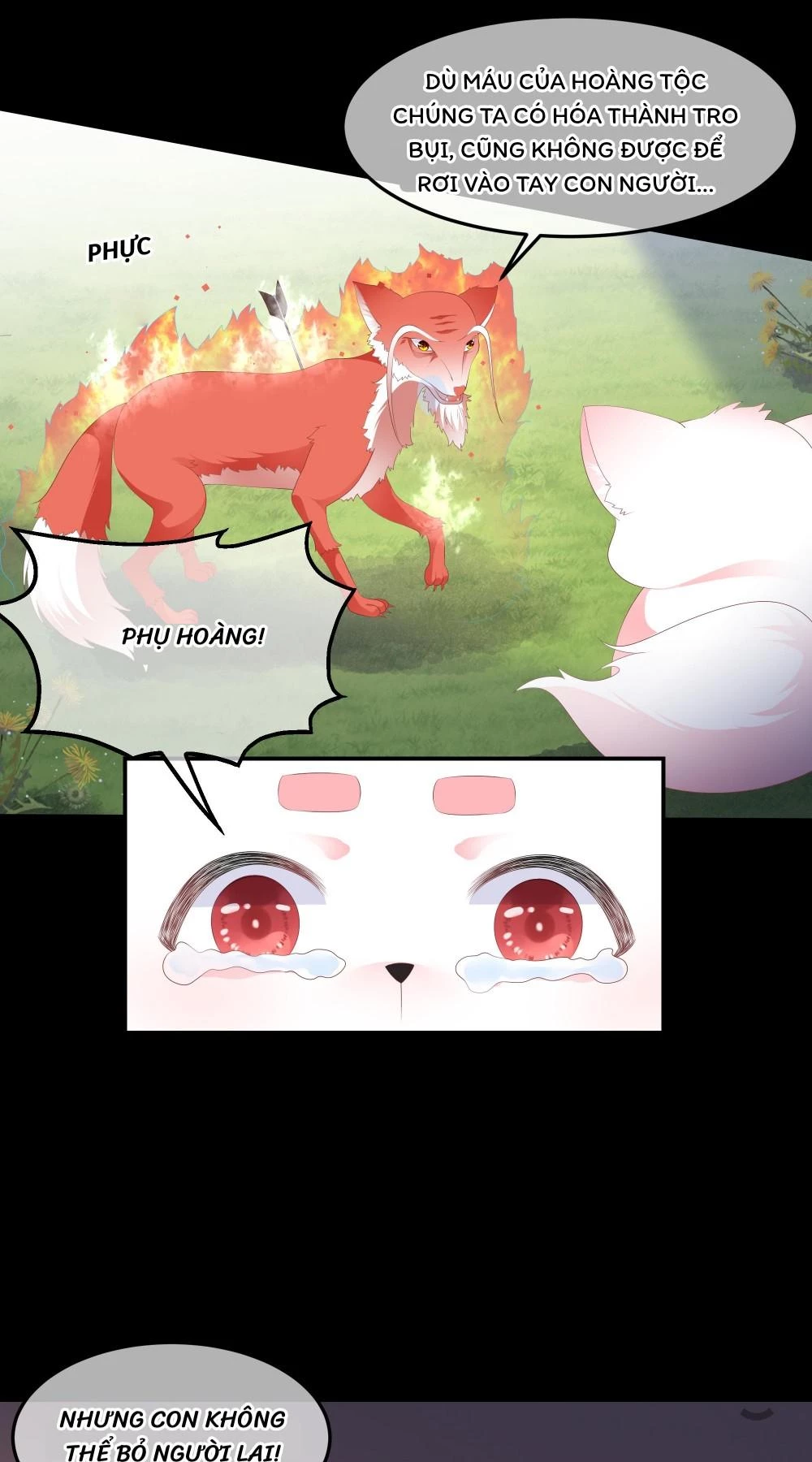 Hồ Phi Chớ Dây Vào Lửa Chapter 90 - 13