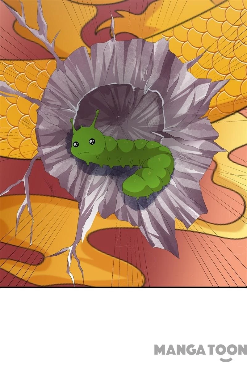 Hồ Phi Chớ Dây Vào Lửa Chapter 93 - 15