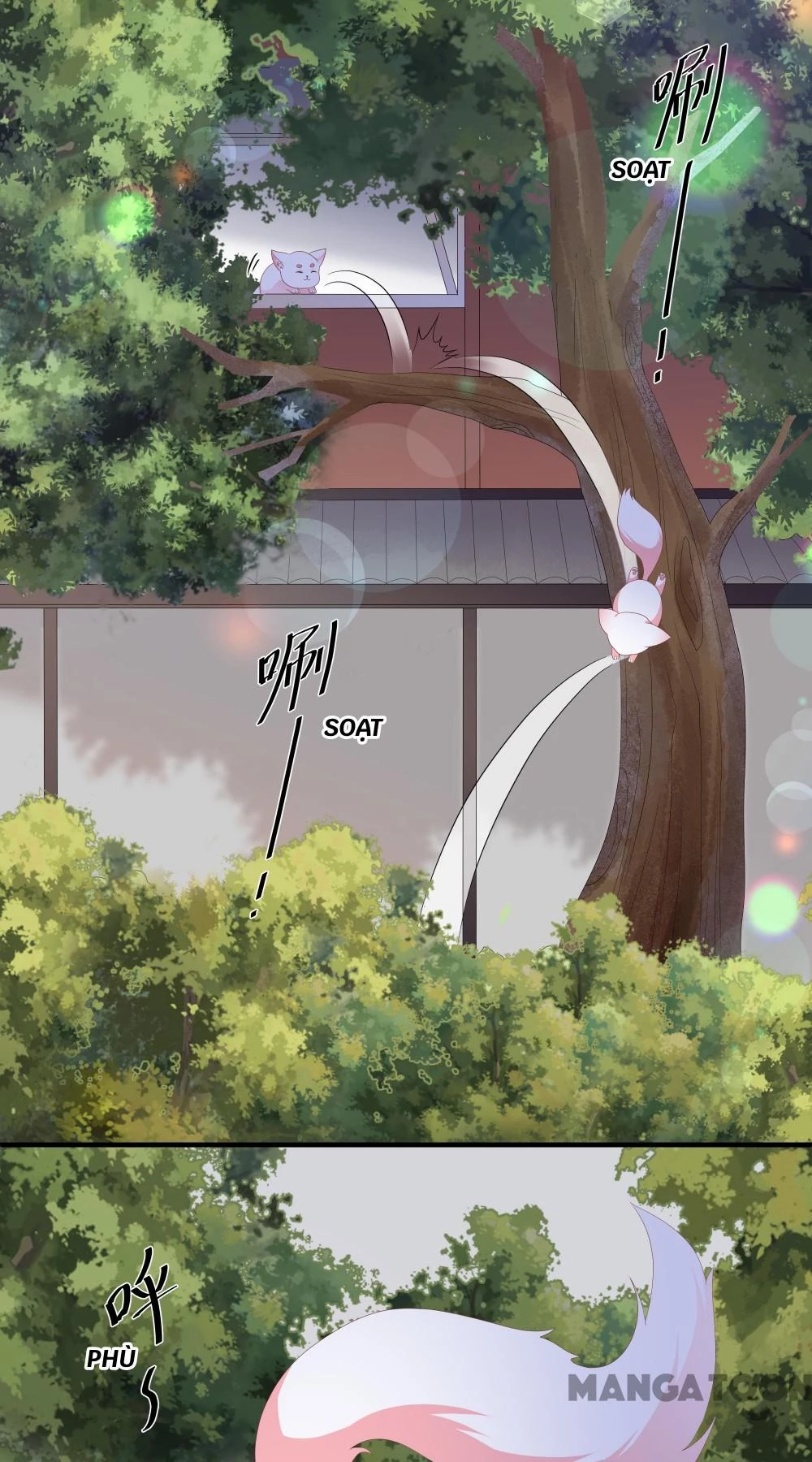 Hồ Phi Chớ Dây Vào Lửa Chapter 96 - 11