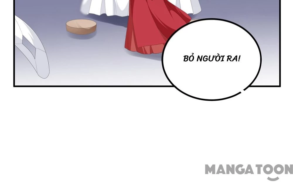 Hồ Phi Chớ Dây Vào Lửa Chapter 97 - 21