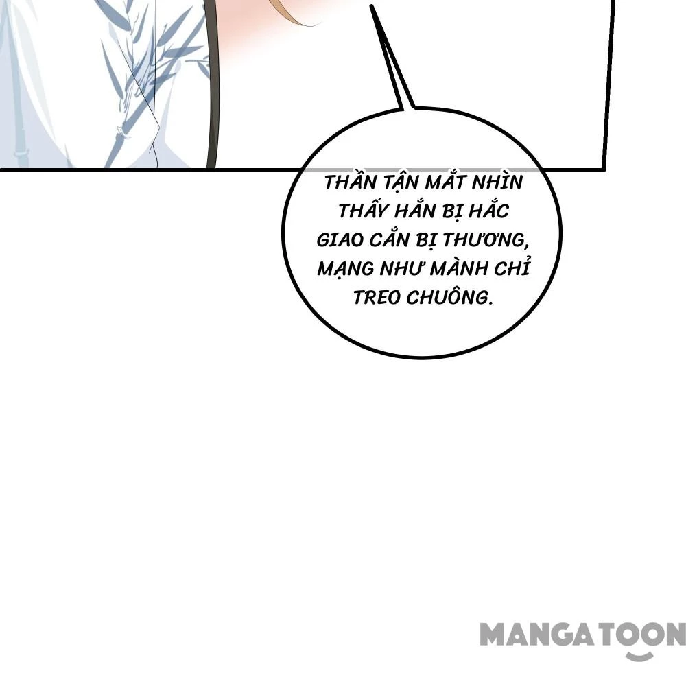 Hồ Phi Chớ Dây Vào Lửa Chapter  105 - 14