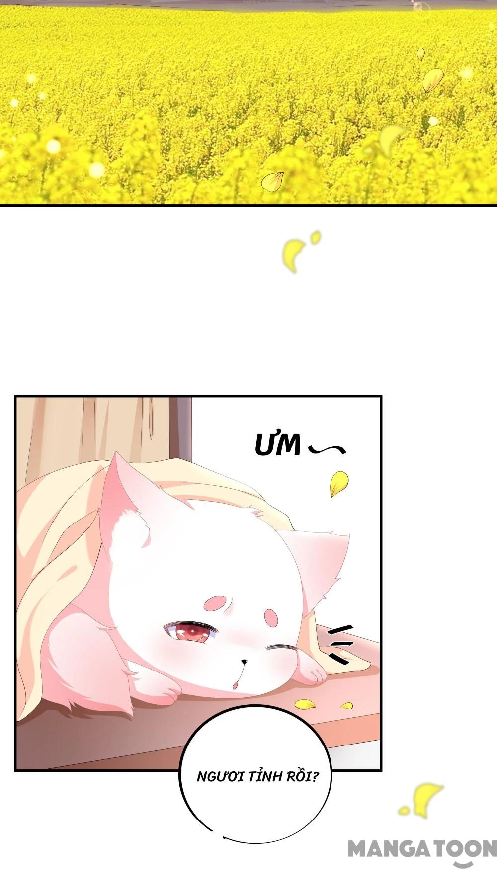 Hồ Phi Chớ Dây Vào Lửa Chapter  109 - 26