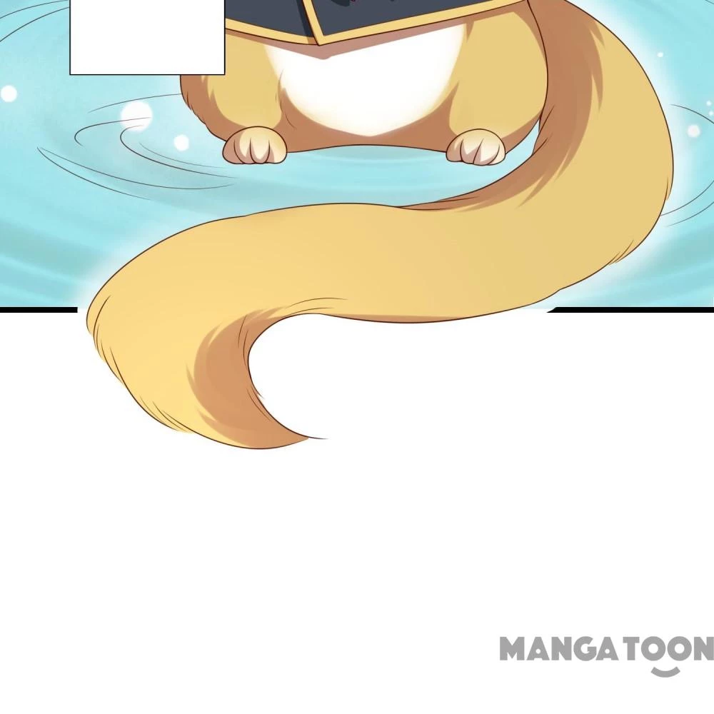 Hồ Phi Chớ Dây Vào Lửa Chapter 111 - 12