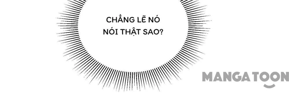 Hồ Phi Chớ Dây Vào Lửa Chapter 111 - 23