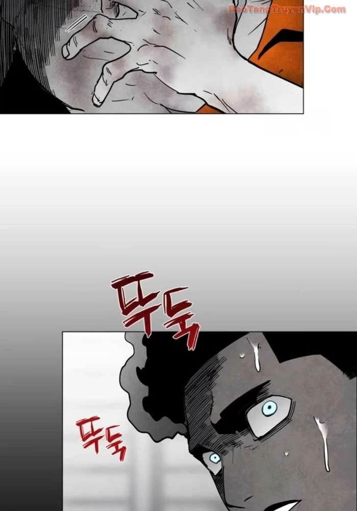 Vùng Đất Sương Mù Chapter 10 - 17