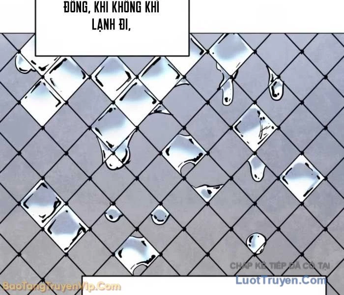 Vùng Đất Sương Mù Chapter 11 - 22