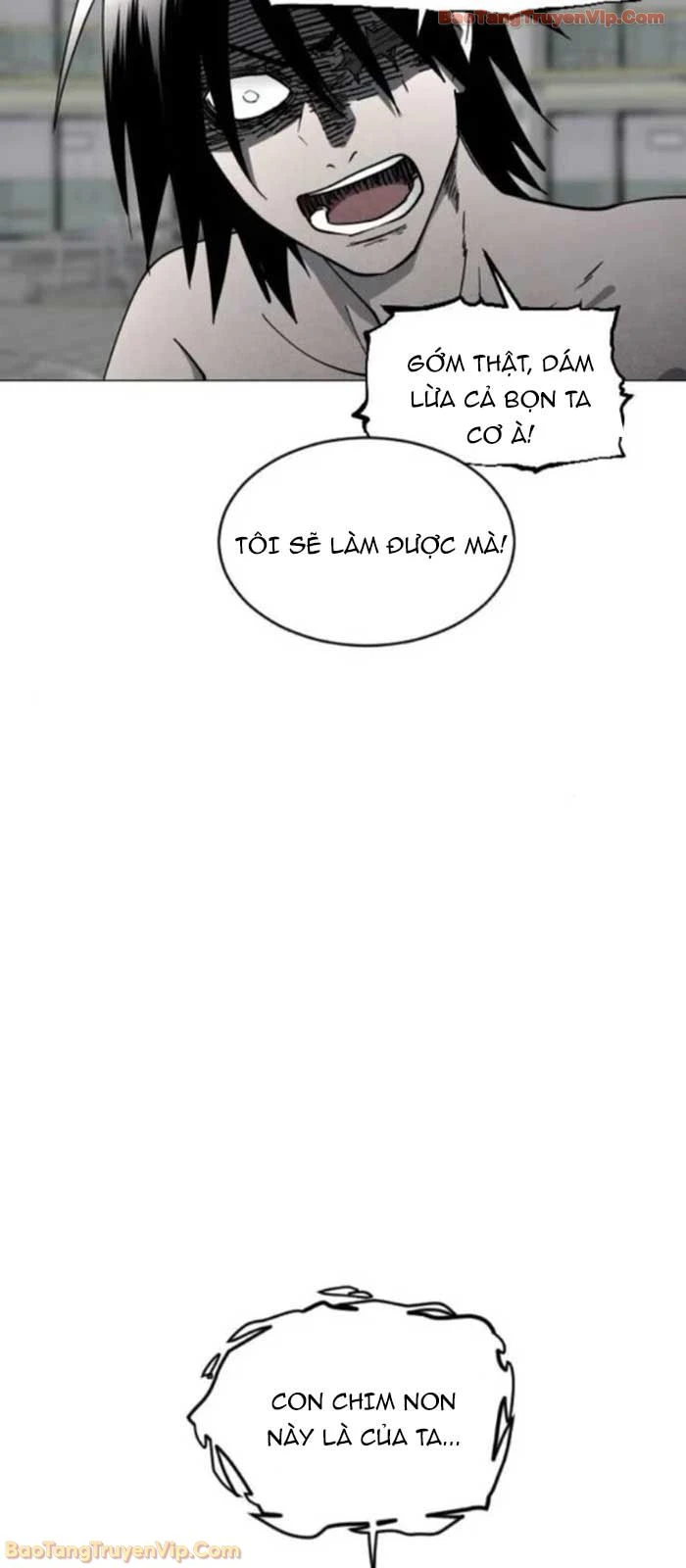 Vùng Đất Sương Mù Chapter 16 - 40