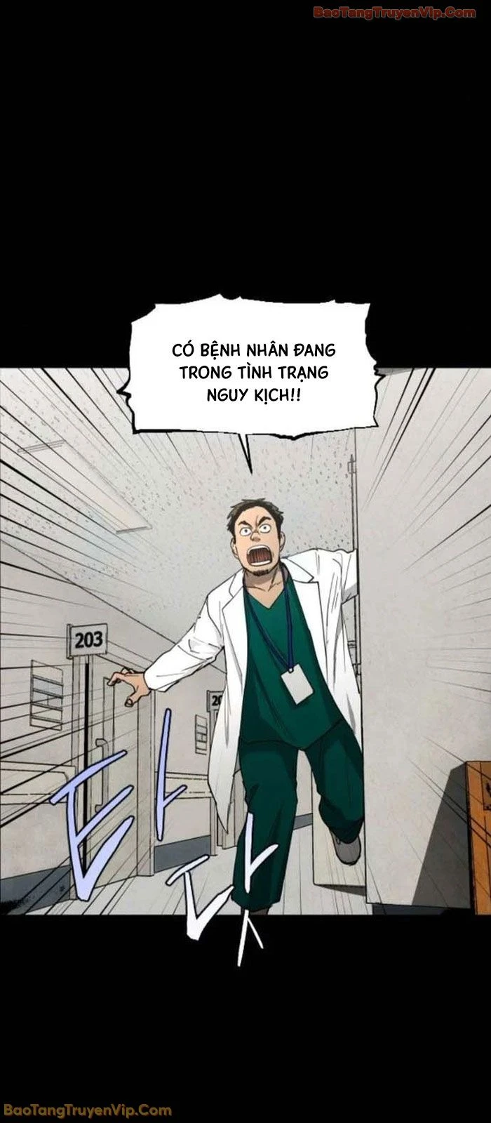 Vùng Đất Sương Mù Chapter 22 - 11