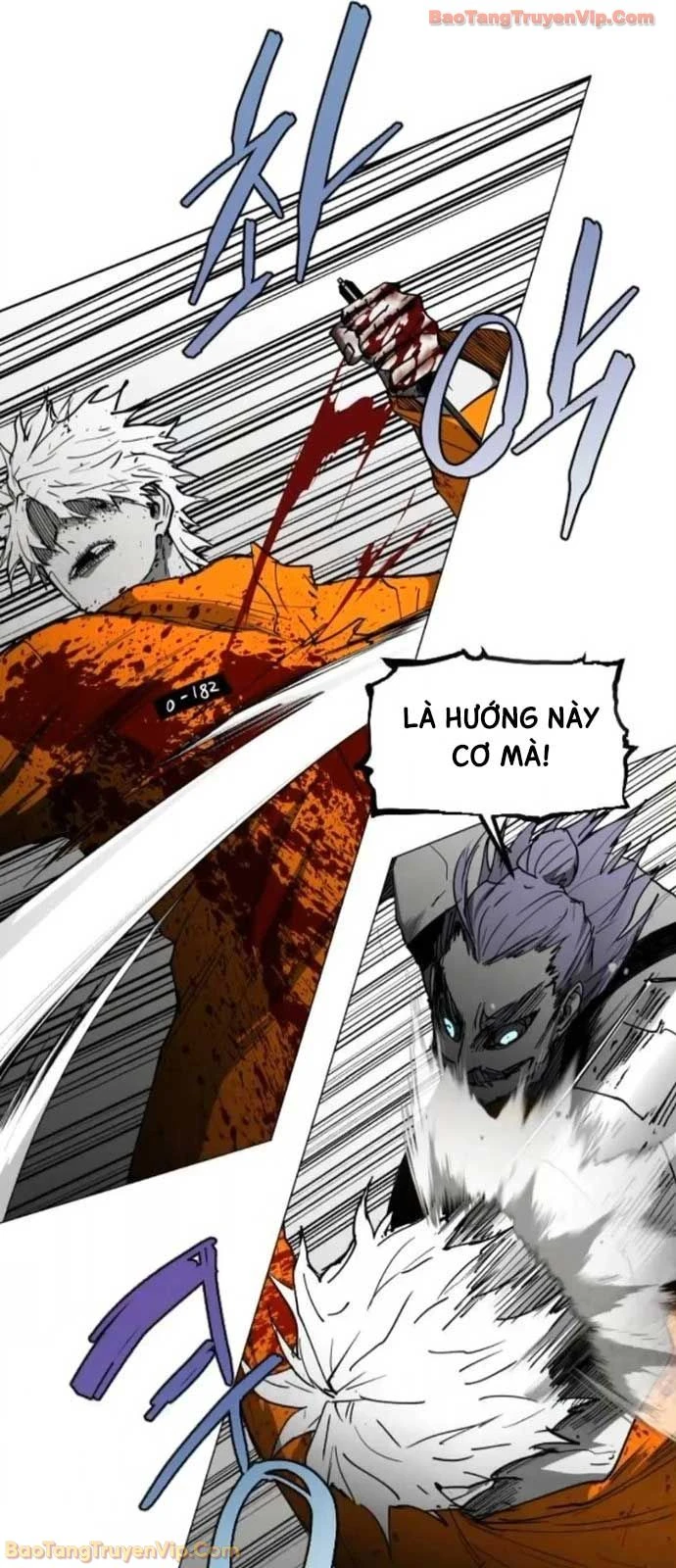 Vùng Đất Sương Mù Chapter 26 - 17