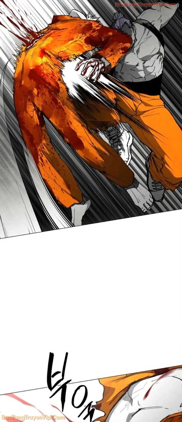 Vùng Đất Sương Mù Chapter 26 - 28