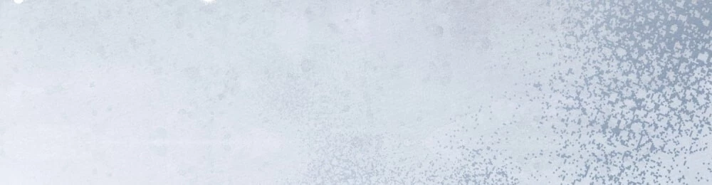 Dưới Bóng Cây Sồi Chapter 127.1 - 9