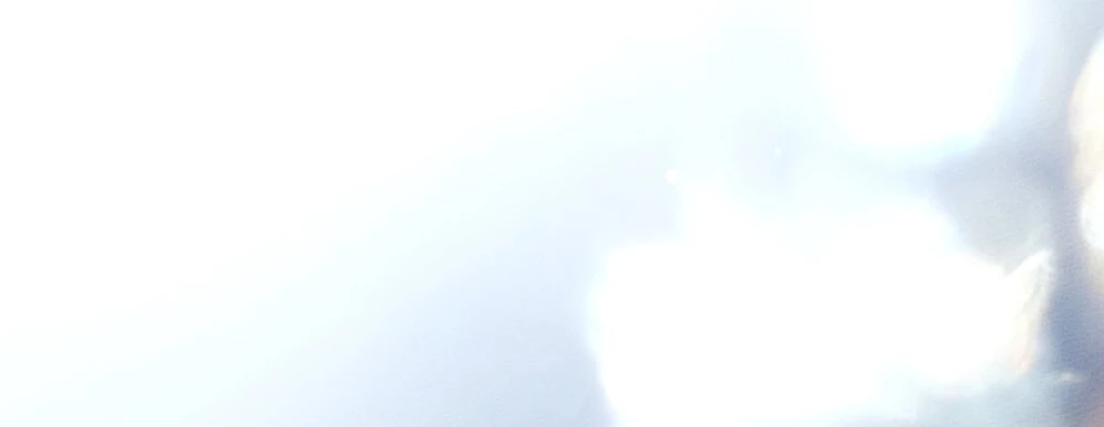 Dưới Bóng Cây Sồi Chapter 127.1 - 26