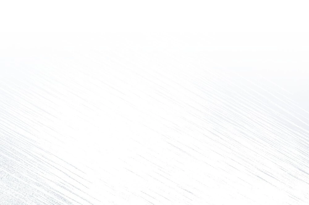 Dưới Bóng Cây Sồi Chapter 127.2 - 80