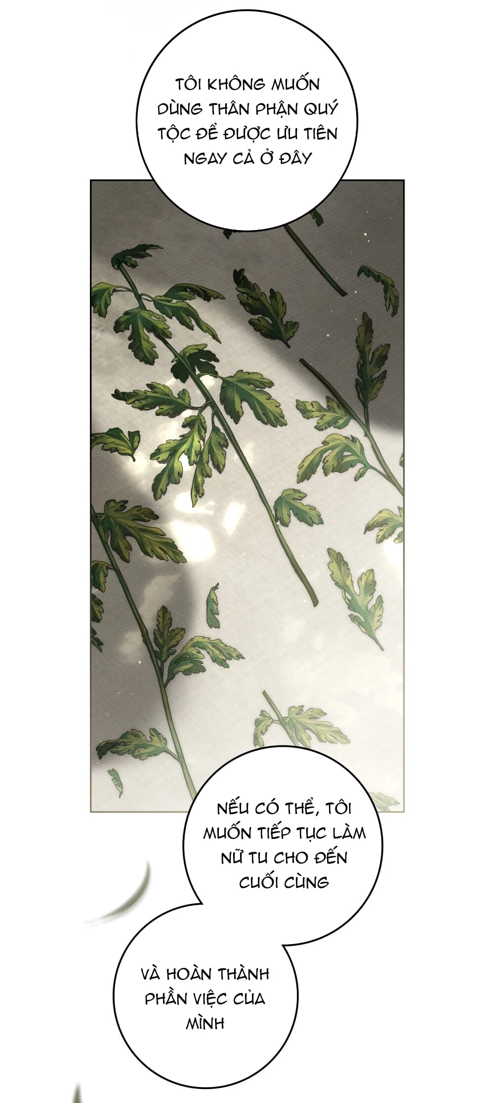 Dưới Bóng Cây Sồi Chapter 128.2 - 18