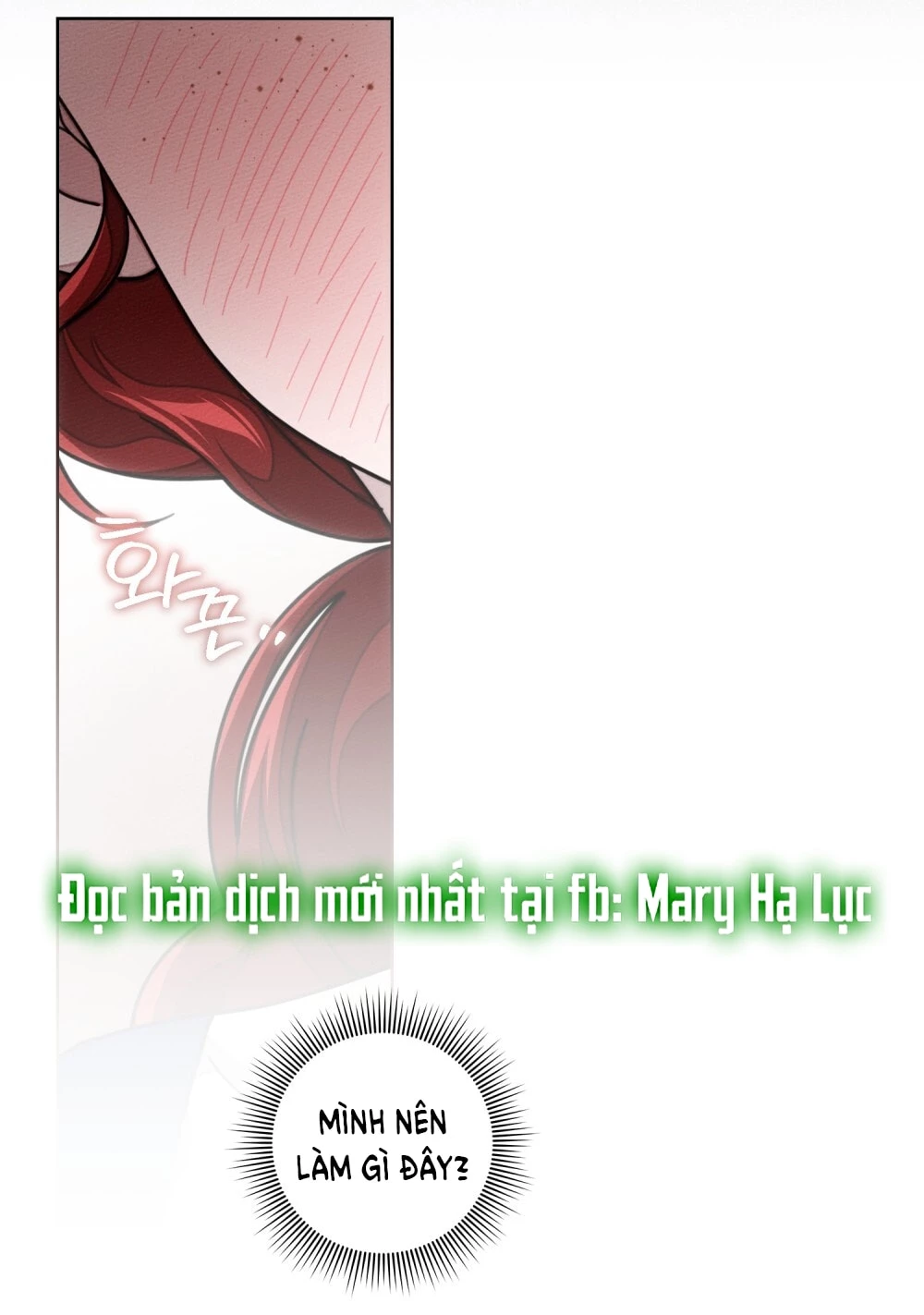 Dưới Bóng Cây Sồi Chapter 128.2 - 33