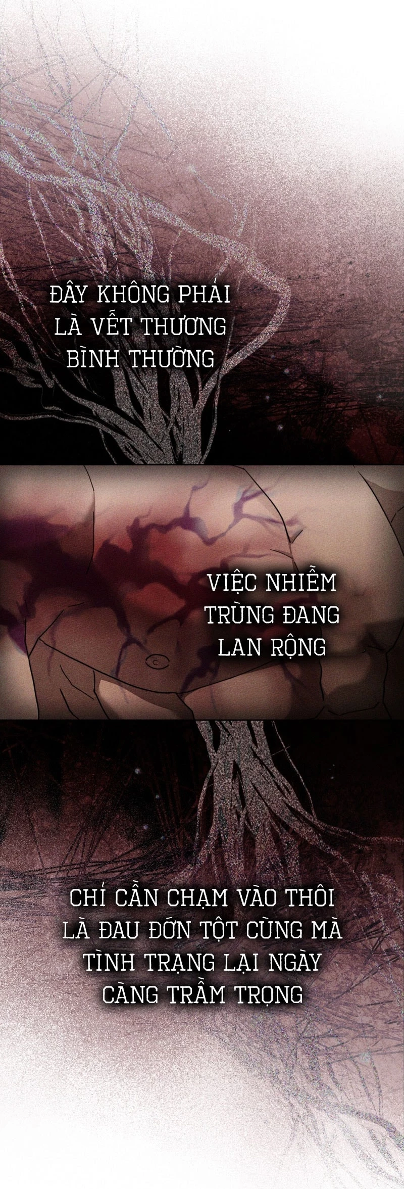 Dưới Bóng Cây Sồi Chapter 129.1 - 3