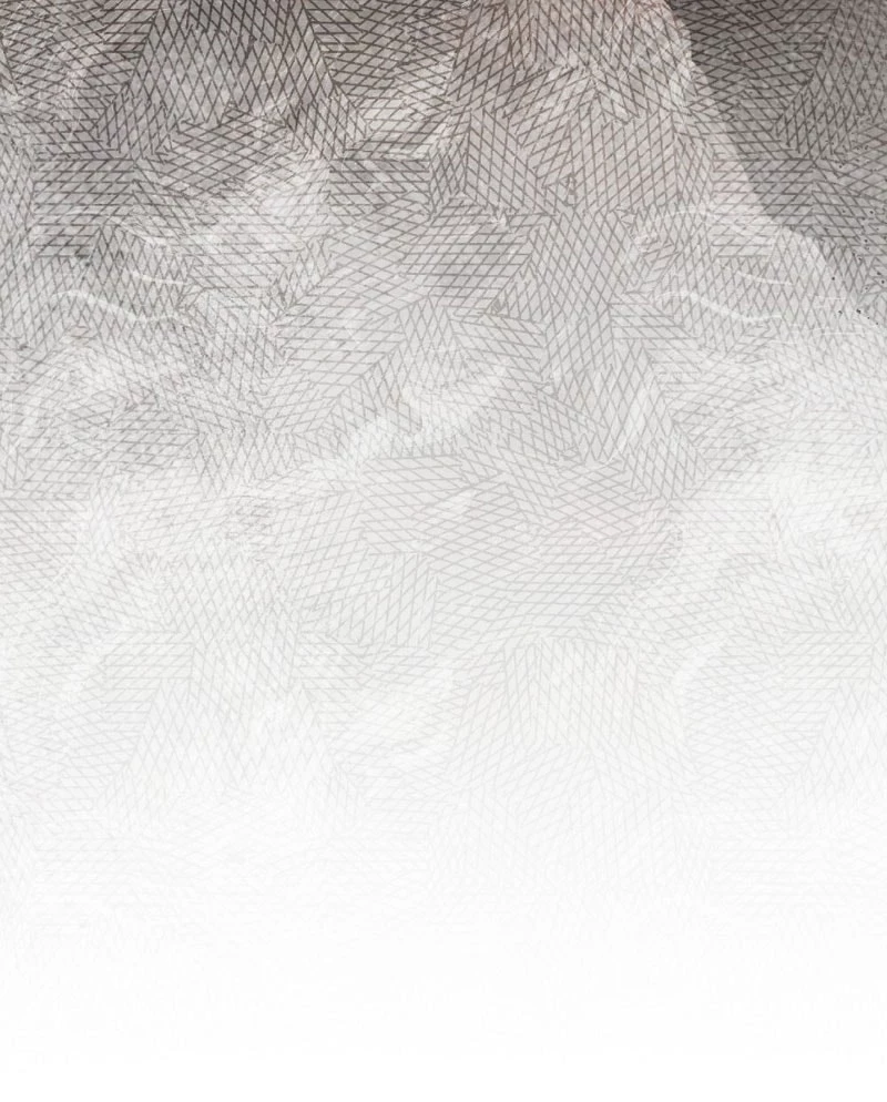 Dưới Bóng Cây Sồi Chapter 129.2 - 14