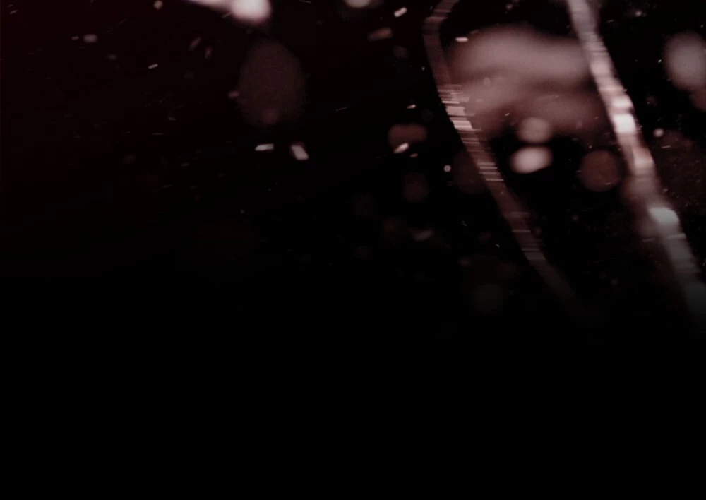 Dưới Bóng Cây Sồi Chapter 130.1 - 11